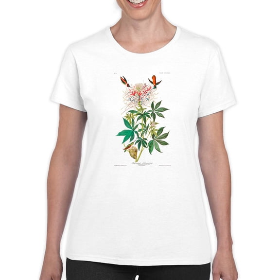 Ruff-Necked Hummingbird T-Shirt Women -John James Audubon Designs, Female x-Large
