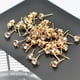 thumbnail image 4 of Pendientes de Rhinestone Yinane 50pcs Oro, 4 of 8
