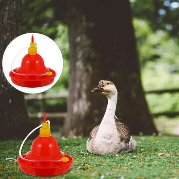 Mobutofu Duck Water Feeder Plastic Square Red for Outdoor Use 1Pack