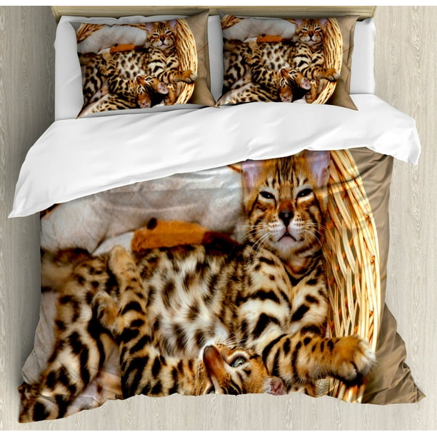 Kitten Duvet Cover Set Little Bengal Cats In Basket Cuddly Purebred Kitties Domestic Feline Decorative Bedding With Pillow Shams Brown Pale Beige By Ambesonne Com - Bengals Queen Bedding Kitten Duvet Cover Set Little Bengal Cats In Basket Cuddly Purebred Kitties Domestic Feline Decorative Bedding With Pillow Shams Brown Pale Beige By Ambesonne Com - Bengals Queen Bedding