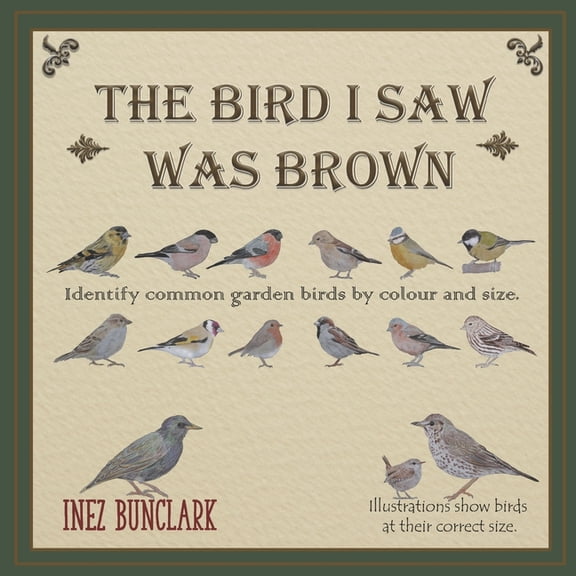 The Bird I Saw Was Brown (Paperback)