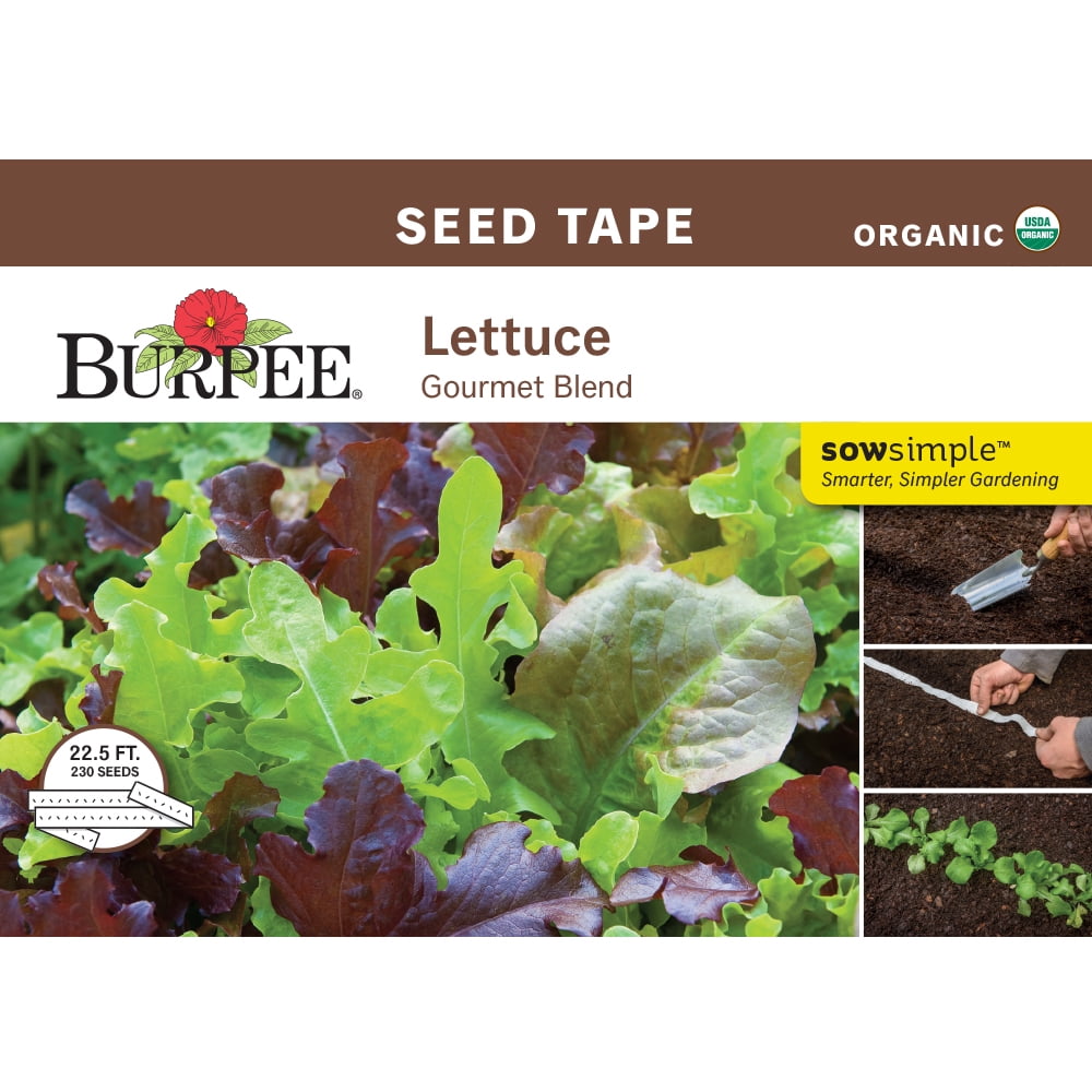 Vegetable seed tape