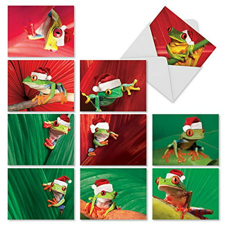 'M1754XB YULE FROGS' 10 Assorted All Occasions Note Cards Feature Tiny Frogs in Santa Hats with Envelopes by The Best Card
