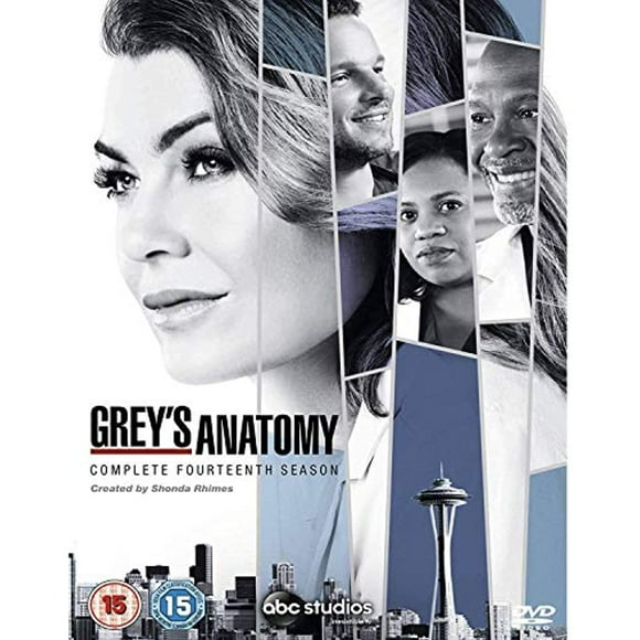Grey's Anatomy: Saison 14 (DVD) [DVD]