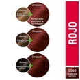 thumbnail image 2 of Tinte para cabello Garnier Nutrisse coloríssimos 5546 frambuesa exótica, 2 of 4