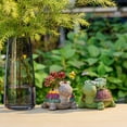 thumbnail image 5 of Visland Turtle Succulent Flower Pot, Mini Resin Animal Plant Pot Pencil Holder Cartoon Bonsai Pot for Home Office Desktop Table Ornament, 5 of 6