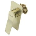 thumbnail image 2 of Monomando Para Regadera Rubinett Dorado Rectangular Acero Inoxidable, 2 of 4