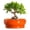 Orange, variant on Ordivic 6 inch Blue Glaze Round Ceramic Bonsai Pot with Drainage Hole & Saucer, Decorative Indoor Plant Pot for Home Living Room Decor