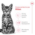 thumbnail image 3 of Feline Health Nutrition Kitten Spayed / Neutered - Dry Cat Food, 3 of 5