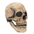 thumbnail image 1 of Casco De Calavera De Cabeza Completa, Casco De Miedo DIY Látex Transpirable Vivo Para Adultos Para Fiesta De Cosplay ANGGREK Otros, 1 of 8