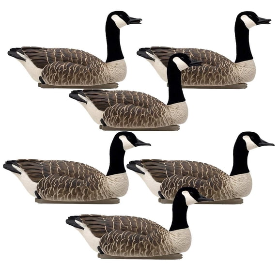 Avian-X Honker Floater Canada Goose Decoys, 6 Pack