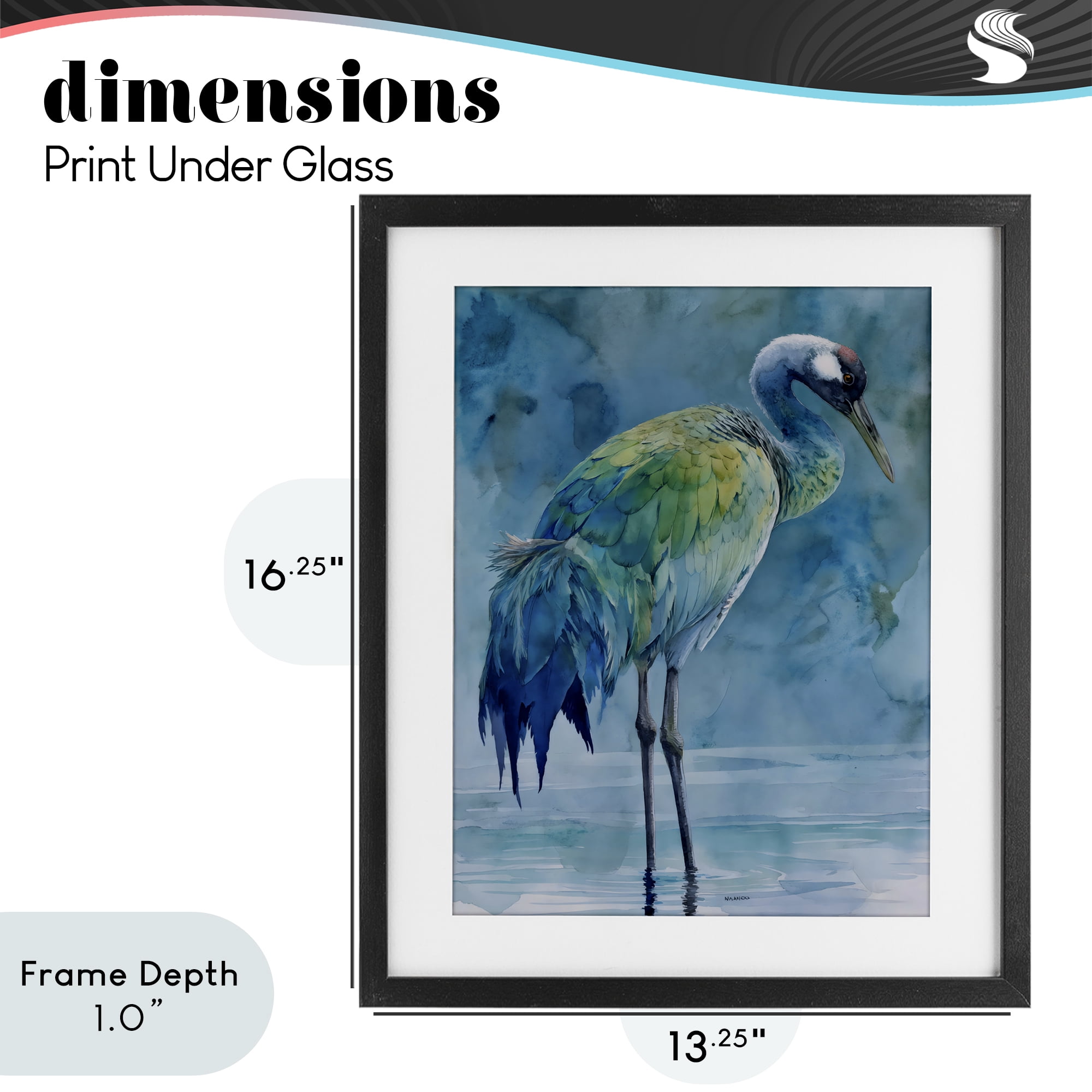Stupell Industries Turquoise Feathered Coastal Bird Black Framed Print Under Glass, design by Franklyn Gregory