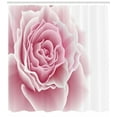 thumbnail image 3 of Ambesonne Pale Pink Shower Curtain, Rose Petals Beauty, 69"Wx84"L, Pale Pink White, 3 of 3
