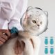 thumbnail image 5 of Bozal de Gato para Aseo, Casco de Bozal de Gato Transpirable, Capucha Espacial Transparente para Gato, Diseño de Forma de Oreja, Bozal de Burbujas para Gato, Casco Antimordeduras para Gato con 4 Zapatos de Patas de Silicona para Recorte de Uñas de Baño, 5 of 7