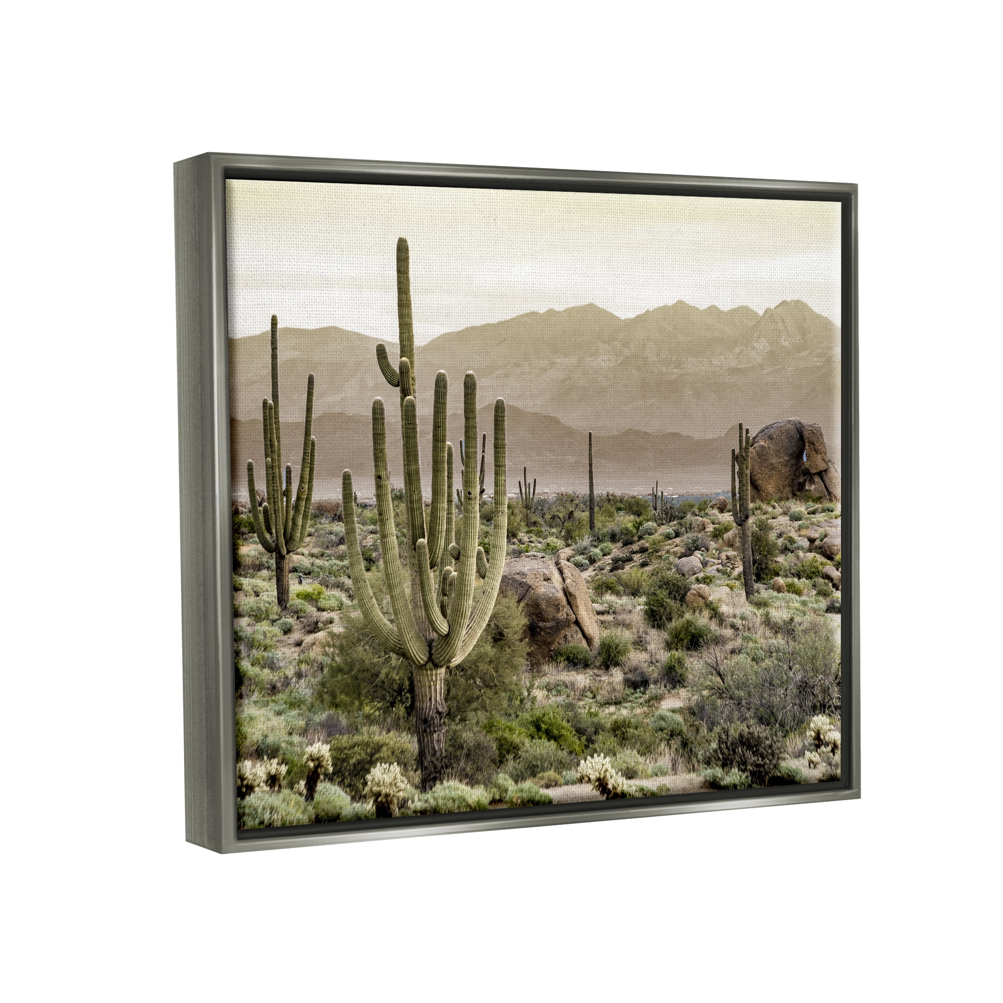 Stupell Industries Rocky Desert Landscape Landscape Photography Gray Floater Framed Canvas Art Print Wall Art, 31 x 25