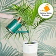 thumbnail image 5 of Indoor Plant Soil 4qt - Perfectly Balanced Potting Mix for All Varieties of Houseplants, 5 of 5