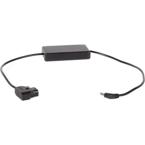 Wooden Camera 20" D-Tap Power Cable for Canon C100, C100mkII, C300 and C500 Cameras