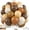Brown, variant on Brown Balloons, 12 Inch Neutral Balloons, Retro Coffee Brown Apricot Sand White Balloon Nude Latex Balloon Helium for Wedding Fall Baby Shower Thanksgiving Cowboy Theme Birthday Decorations