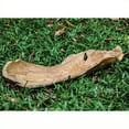 thumbnail image 3 of Uttermost Bol en Teck avec Feuilles de Teck Naturel, 3 of 4