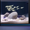 thumbnail image 4 of WHAMVOX 4Ud De Ranas En Resina Que Brillan En Para De Acuario Y Oficina, 4 of 8