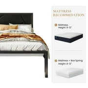 Sha Cerlin Black Queen Size Metal Platform Bed Frame with Leather Headboard & Underbed Storage, Adult