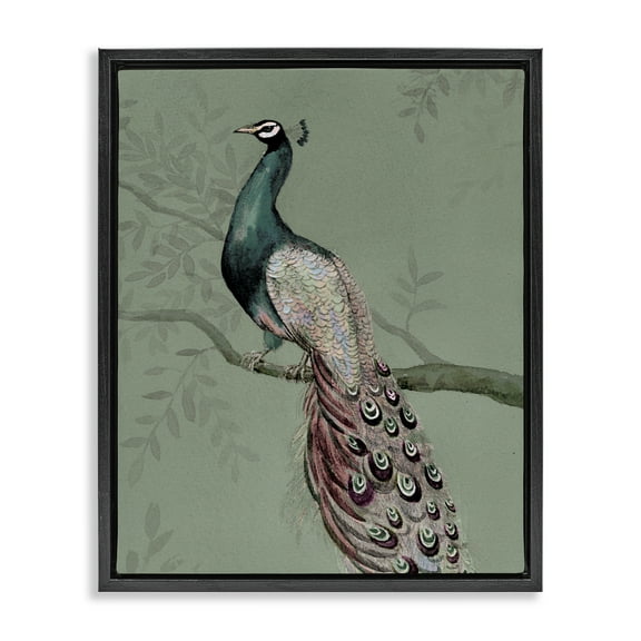 Stupell Industries Regal Peacock on Branch Animals Painting Black Floater Framed Canvas Art Print Wall Art, 17 x 21