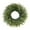 Green, variant on 24 Inch Artificial Norfolk Pine Christmas Wreath Realistic Faux Green Wreath for Front Door Wall Window Porch Indoor/Outdoor Décor, Wreath