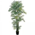 thumbnail image 1 of 7 Areca Palm Tree (Green) (84"H x 50"W x 50"D), 1 of 5