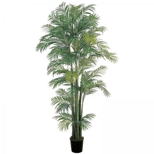 7 Areca Palm Tree (Green) (84"H x 50"W x 50"D)