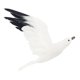 thumbnail image 5 of 2pcs Flying Seagull Ornament Jardín Escultura Interior / Exterior Paisaje Casa Césped Decoración Tamaño, 5 of 9