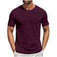 thumbnail image 2 of Économies d'Été 2025 Mode Décontractée pour Hommes Pull-Over Couleur Unie Manches Courtes Col Rond Blouses, 2 of 7