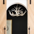 thumbnail image 4 of Regina Andrew 16-1064 Antler 6 Light 33" Wide Antler Candle Style Chandelier - Silver, 4 of 7