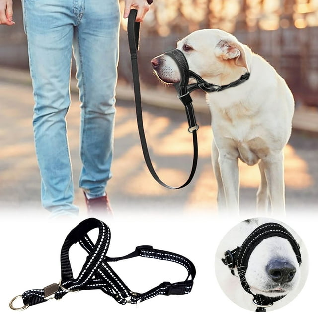 Table de Toilettage pour Animaux Réglable avec Système de Contention Sécurisé pour les Soins aux Grands Chiens et