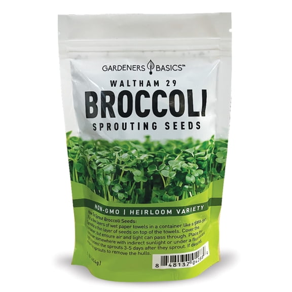 Waltham 29 Broccoli Sprouting Seeds - 1 Pound