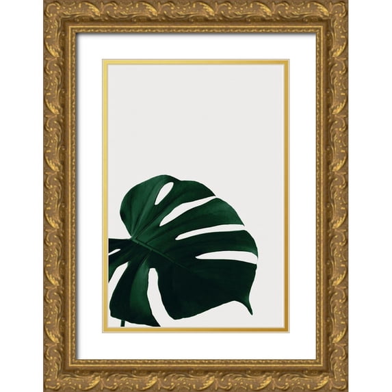 Artographie Studio 17x24 Gold Ornate Wood Framed with Double Matting Museum Art Print Titled - Monstera Natural 08