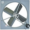 Tpi Corporation-CE48B 48in. Commercial Belt Drive Exhaust Fan