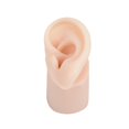 thumbnail image 1 of Modelo de oreja realista de silicona suave, canal profundo, textura delicada con base de entrenamiento Derecha, 1 of 9