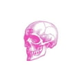 thumbnail image 3 of Greenwood, Amanda 13x18 Black Modern Framed Museum Art Print Titled - Pink Skull, 3 of 5