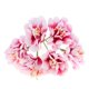 thumbnail image 4 of Ramo de seda con estambre degradado Artificial 72x para decoración  3 Gloria Flor artificial, 4 of 9