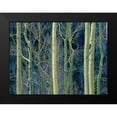 thumbnail image 2 of Fitzharris, Tim 18x14 Black Modern Framed Museum Art Print Titled - Aspen Trunks, 2 of 5