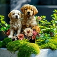 thumbnail image 7 of Dogs Garden Decor, Outdoor Pot Decoration,Garden Ground Insert, Fairy Garden Accessories, Acrylic Bohemian Flower Pot, Fairy Garden Figurines (Couple Dogs), 7 of 7