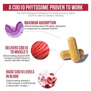 Triquetra Health SoActive CoQ10
