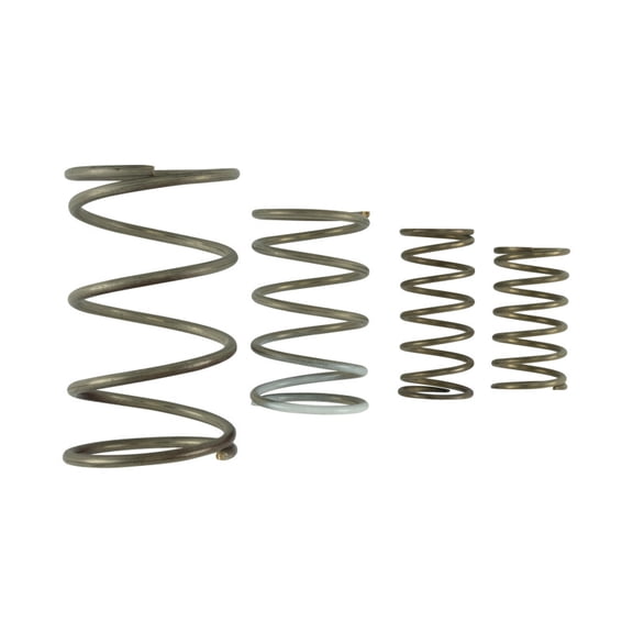 Turbosmart TS Wastegate Springs partNumber: TS-0550-3152