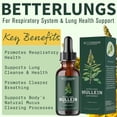 thumbnail image 3 of Suplemento de extracto de hoja de gordolobo Betterbrand BetterLuns, 3 of 9