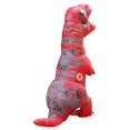 thumbnail image 5 of Diconna Costume Gonflable Dinosaure Halloween, Polyester Imperméable Fantaisie, 5 of 5