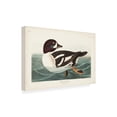 thumbnail image 2 of John James Audubon 'Golden Eye Duck' Canvas Art, 2 of 3