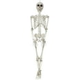 thumbnail image 1 of Sunstar Industries SKELETON 36 INCH costume, 1 of 1