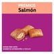 thumbnail image 3 of Caja Whiskas Premios Salmón 60 Gr (12 Pzas), 3 of 5