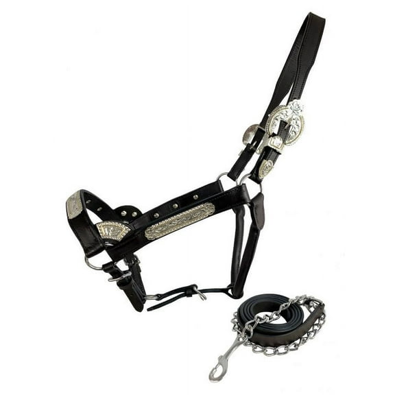 Silver Engraved Show Halter w/ Lead