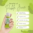 thumbnail image 3 of PickleAde Real Pickle Juice Shots with Turmeric, 3oz 12 Pack Electrolyte Pickle Juice Sports Drink Kosher Pickle Shots Pickle Brine for Muscle and Leg Cramp Relief, 3 of 3